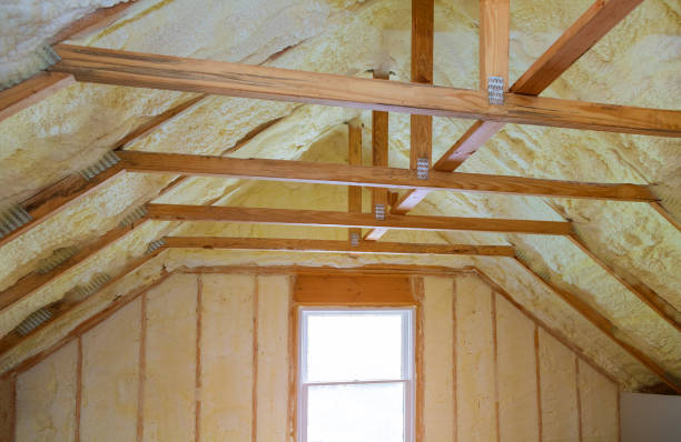Types of Insulation We Offer in Magnolia, NC