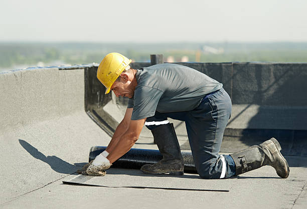 Best Cellulose Insulation in Magnolia, NC